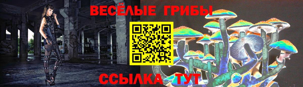 Альметьевск  Псилоцибиновые грибы Magic Shrooms  что такое наркотик  Вход с VPN 